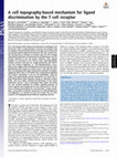 Research paper thumbnail of A cell-topography based mechanism for ligand discrimination by the T-cell receptor