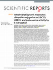 Research paper thumbnail of Tetrahydrobiopterin modulates ubiquitin conjugation to UBC13/UBE2N and proteasome activity by S-nitrosation