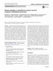 Research paper thumbnail of Human endoglin as a potential new partner involved in platelet-endothelium interactions