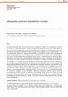 Research paper thumbnail of Metropolde çeşitlenen hanehalkları ve konut