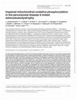 Research paper thumbnail of Impaired mitochondrial oxidative phosphorylation in the peroxisomal disease X-linked adrenoleukodystrophy