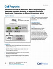 Research paper thumbnail of Inhibition of Gsk3b Reduces Nfkb1 Signaling and Rescues Synaptic Activity to Improve the Rett Syndrome Phenotype in Mecp2-Knockout Mice