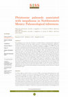 Research paper thumbnail of Paleosuelos pleistocénicos asociados a megafauna en el noroeste de México: inferencias paleoecológicas