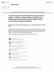 Research paper thumbnail of A novel dual lock method for down-regulation of genes, in which a target mRNA is captured at 2 independent positions by linked locked nucleic acid antisense oligonucleotides