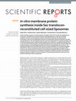 Research paper thumbnail of In vitro membrane protein synthesis inside Sec translocon-reconstituted cell-sized liposomes