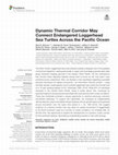 Research paper thumbnail of Dynamic Thermal Corridor May Connect Endangered Loggerhead Sea Turtles Across the Pacific Ocean