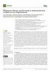 Research paper thumbnail of Ellagitannin, Phenols, and Flavonoids as Antibacterials from Acalypha arvensis (Euphorbiaceae)