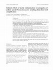 Research paper thumbnail of Indirect effects of metal contamination on energetics of yellow perch (Perca flavescens) resulting from food web simplification