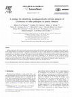 Research paper thumbnail of A strategy for identifying serodiagnostically relevant antigens of Leishmania or other pathogens in genetic libraries