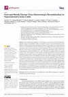 Research paper thumbnail of Foot-and-Mouth Disease Virus Interserotypic Recombination in Superinfected Carrier Cattle