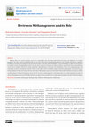 Research paper thumbnail of Crossroad Imagination: The Thob Mediating Between Palestinian Material Culture and Gendered Activism