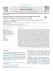 Research paper thumbnail of Hillslope response to sprinkling and natural rainfall using velocity and celerity estimates in a slate-bedrock catchment