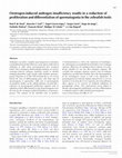 Research paper thumbnail of Oestrogen-induced androgen insufficiency results in a reduction of proliferation and differentiation of spermatogonia in the zebrafish testis