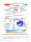 Research paper thumbnail of Reply to Strunz and Braeckel: Agricultural failures logically link historical events to extreme climate following the 43 BCE Okmok eruption