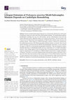 Research paper thumbnail of Lifespan Extension of Podospora anserina Mic60-Subcomplex Mutants Depends on Cardiolipin Remodeling