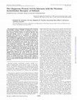 Research paper thumbnail of The Chaperone Protein 14-3-3η Interacts with the Nicotinic Acetylcholine Receptor α4 Subunit