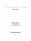 Research paper thumbnail of The Catalytic Efficiency and Conformational Dynamics of Escherichia coli DNA Repair Enzyme AlkB