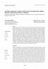 Research paper thumbnail of Çin Halk Cumhuriyeti ve Küba Cumhuriyeti'nin Karşılaştırılması: Değişen Düzende Anayasal Siyasal Sistem ve Ekonomi