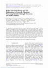 Research paper thumbnail of Beaker and Early Bronze Age Tin Exploitation in Cornwall: Cassiterite Processing Identified through Microwear and pXRF Analyses