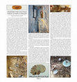 Research paper thumbnail of Harvey S., Grassigli G., Spiganti S., Pacelli F., A Remarkable Tomb at the Etrusco-Umbrian Necropolis of Montecchio, Etruscan News, Winter 2020, vol. 22. p. 11.