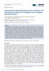 Research paper thumbnail of Examining the relationship between work conditions and entrepreneurial behavior of employees: does employee well-being matter?