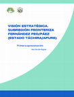 Research paper thumbnail of VISIÓN ESTRATÉGICA. SUBREGIÓN FRONTERIZA FERNÁNDEZ FEO/PÁEZ (ESTADO TÁCHIRA/APURE