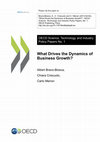 Research paper thumbnail of What Drives the Dynamics of Business Growth?