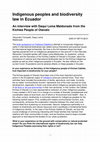 Research paper thumbnail of Indigenous peoples and biodiversity law in Ecuador An interview with Daqui Lema Maldonado from the Kichwa People of Otavalo