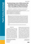 Research paper thumbnail of Breeding biology review of White‑backed Stilt Himantopus melanurus in Brazil and a case study in the largest restinga protected area (Aves, Charadriiformes, Recurvirostridae)