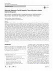 Research paper thumbnail of Molecular diagnosis of occult hepatitis C virus infection in Iranian injection drug users