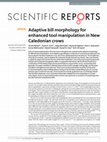 Research paper thumbnail of Adaptive bill morphology for enhanced tool manipulation in New Caledonian crows