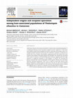 Research paper thumbnail of Independent origins and incipient speciation among host-associated populations of Thielaviopsis ethacetica in Cameroon