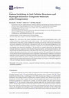 Research paper thumbnail of Pattern Switching in Soft Cellular Structures and Hydrogel-Elastomer Composite Materials under Compression