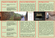 Research paper thumbnail of Flyer_10_Tag_der_Archäologie_Visbek_13_11_2022