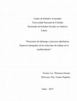 Research paper thumbnail of POSICIONES DE LIDERAZGO Y PROCESOS IDENTITARIOS- TESIS DOCTORADO