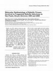 Research paper thumbnail of Molecular epidemiology of rubella viruses involved in congenital rubella infections in São Paulo, Brazil, between 1996 and 2009