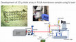 Research paper thumbnail of Development of 2D µ Hole array in PLGA membrane update