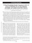 Research paper thumbnail of Oxidized Phospholipids Regulate Expression of ATF4 and VEGF in Endothelial Cells via NRF2-Dependent Mechanism: Novel Point of Convergence Between Electrophilic and Unfolded Protein Stress Pathways