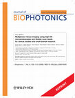 Research paper thumbnail of Multiphoton tissue imaging using high-NA microendoscopes and flexible scan heads for clinical studies and small animal research