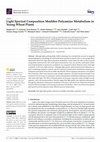 Research paper thumbnail of Light Spectral Composition Modifies Polyamine Metabolism in Young Wheat Plants