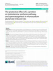 Research paper thumbnail of The protective effect of L-carnitine on testosterone synthesis pathway, and spermatogenesis in monosodium glutamate-induced rats