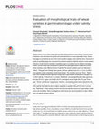 Research paper thumbnail of Evaluation of morphological traits of wheat varieties at germination stage under salinity stress