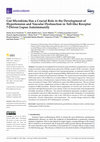 Research paper thumbnail of Gut Microbiota Has a Crucial Role in the Development of Hypertension and Vascular Dysfunction in Toll-like Receptor 7-Driven Lupus Autoimmunity