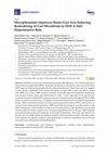 Research paper thumbnail of Mycophenolate Improves Brain–Gut Axis Inducing Remodeling of Gut Microbiota in DOCA-Salt Hypertensive Rats