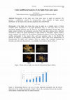 Research paper thumbnail of Color multifractal analysis of city lights from outer space