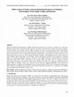 Research paper thumbnail of SMEs Context of Turkey from the Relational Perspective of Members' Perfectionism, Work Family Conflict and Burnout