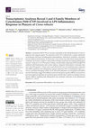 Research paper thumbnail of Transcriptomic Analyses Reveal 2 and 4 Family Members of Cytochromes P450 (CYP) Involved in LPS Inflammatory Response in Pharynx of Ciona robusta