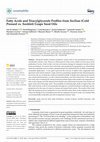 Research paper thumbnail of Fatty Acids and Triacylglycerols Profiles from Sicilian (Cold Pressed vs. Soxhlet) Grape Seed Oils