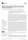 Research paper thumbnail of Does Bacillus thuringiensis Affect the Stress and Immune Responses of Rhynchophorus ferrugineus Larvae, Females, and Males in the Same Way?