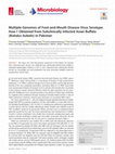 Research paper thumbnail of Multiple Genomes of Foot-and-Mouth Disease Virus Serotype Asia-1 Obtained from Subclinically Infected Asian Buffalo (Bubalus bubalis) in Pakistan